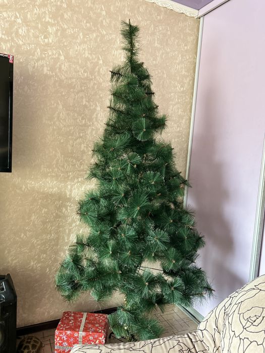 Отдам елку 1,80 самовывоз