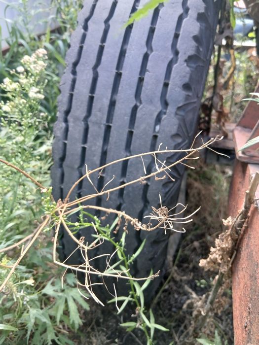 Продаётся бочка под воду