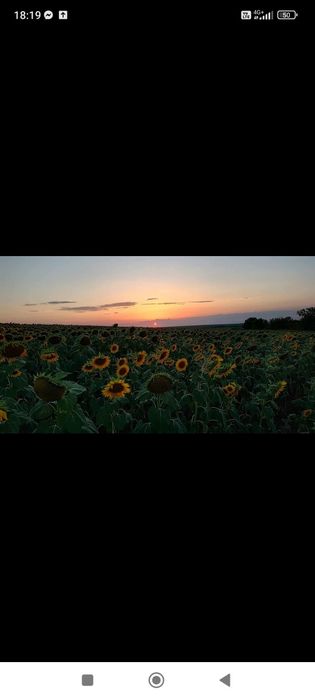 Продава се Къща в с. Крумово, Област Варна - 240 кв.м за 1167 €/кв.м - Снимка #9