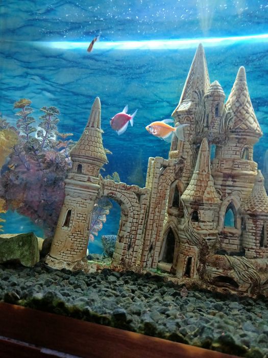 Аквариум с тумбой