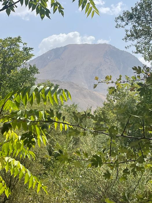 Чарвак, 10га под зону отдыха