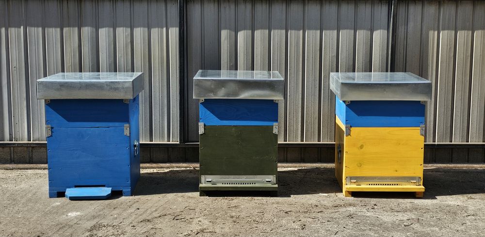 Stupi albine noi, complet echipati