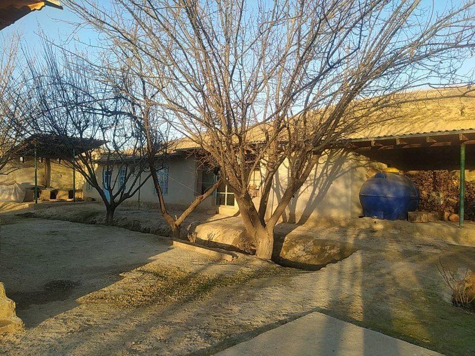 Surxandaryo viloyati  Qumqorgon tuman Ariqoshgan MFY  uy  oshxona yeri