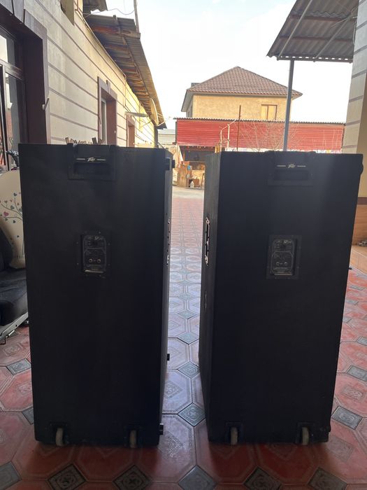 Корпуса от колонок peavey sp218