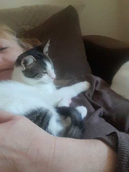 Мони търси дом и добри стопани!