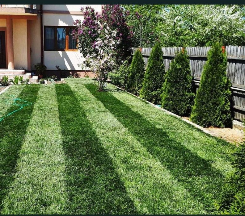 Gazon rulou ferim ai montaj