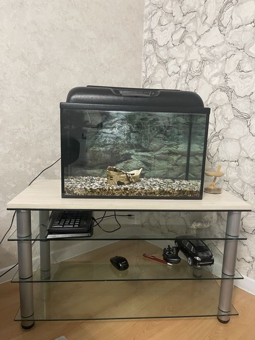 Аквариум 60л  с тумбой