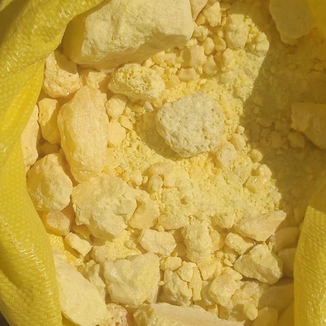 Oltingugurt kamok va molotoya