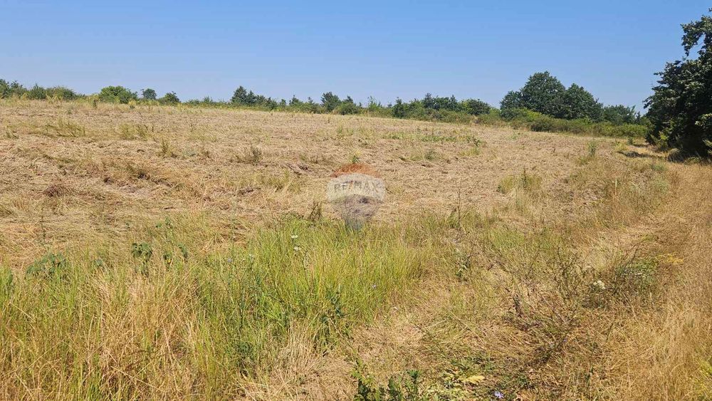 Продава се Парцел в с. Близнаци, Област Варна - 6900 кв.м за 44 €/кв.м - Снимка #2