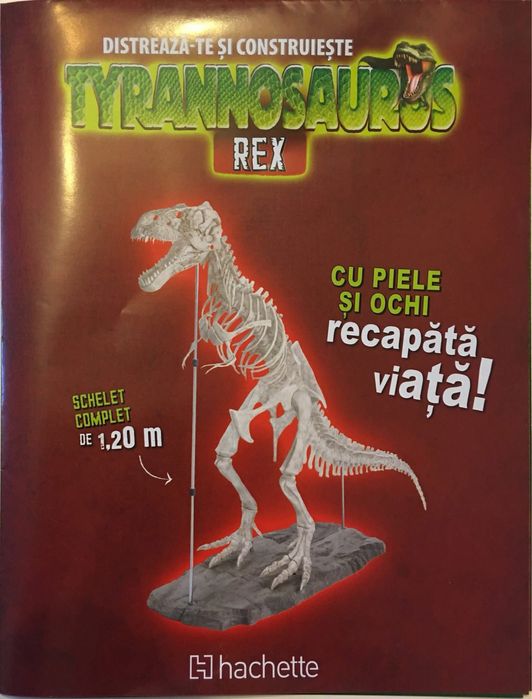 Dinozaurul T Rex de construit 80 numere