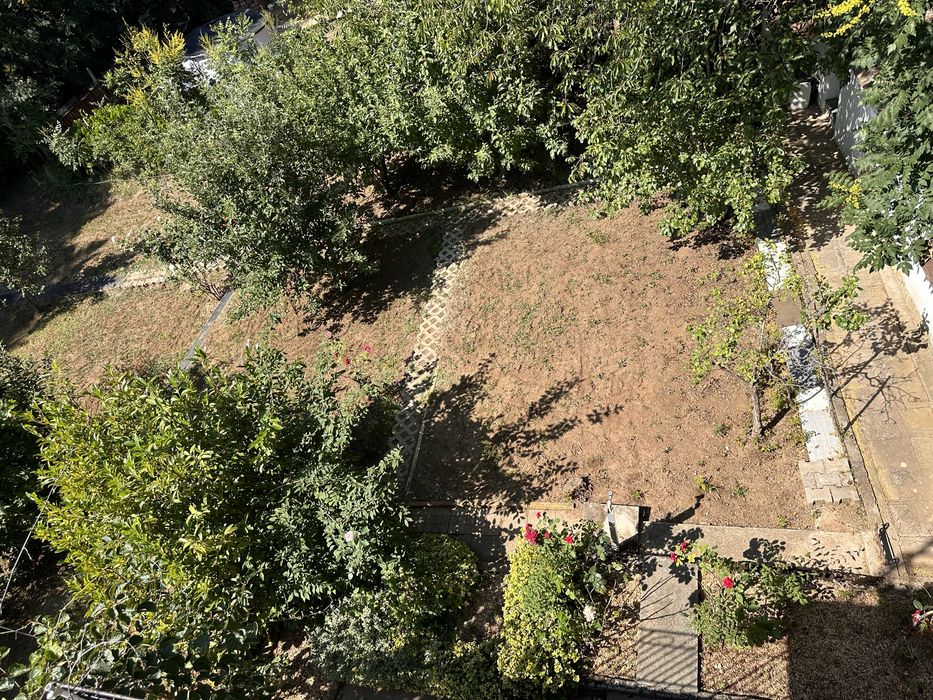 Разчистване на дворове, мулчиране, почистване на неподдържани парцели