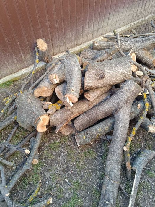Trunchi de nuc pentru cherestea și lemn de foc nuc