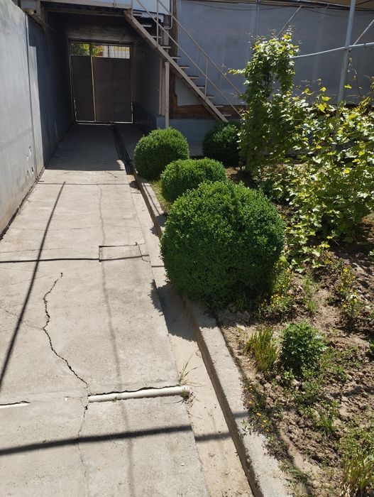 Шамшод 15 йиллик