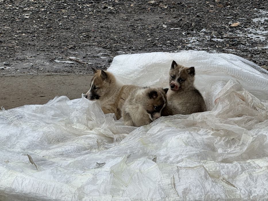 Лайки 3 месяца