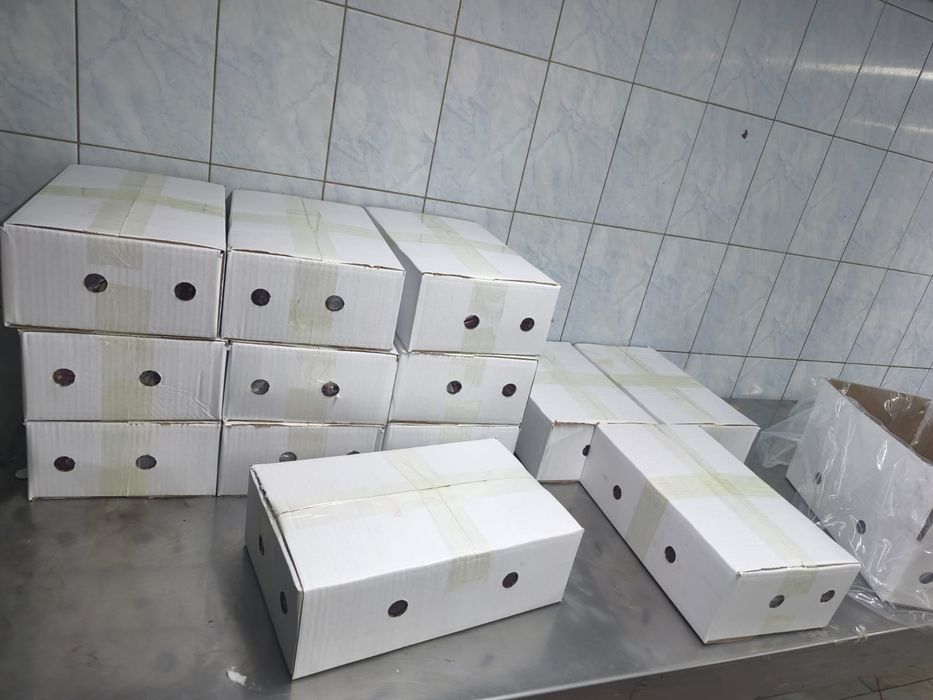 Говяжий печень оптом от 300 кг