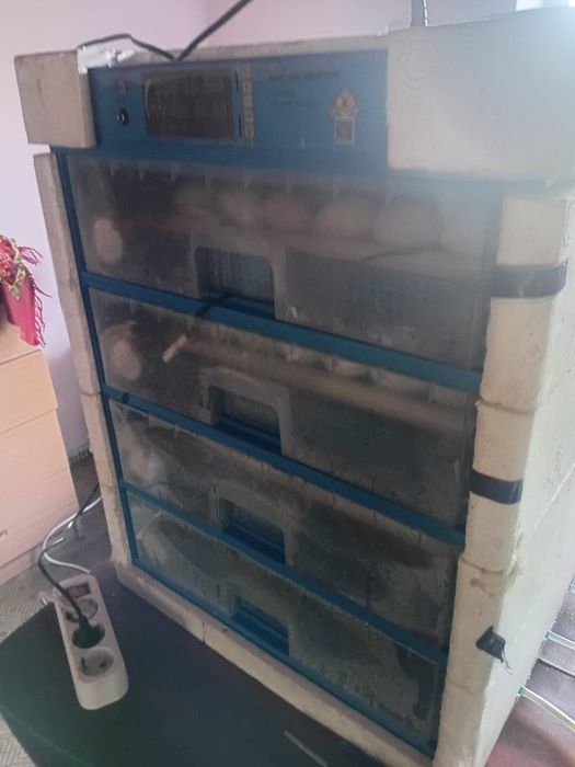Продам инкубатор