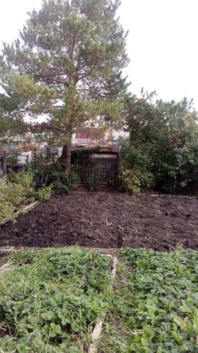 Дача, район федоровского водохранилища