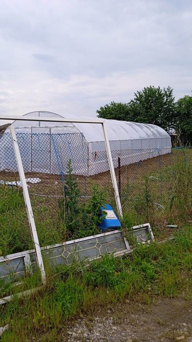 Solarii sere legume cu montaj