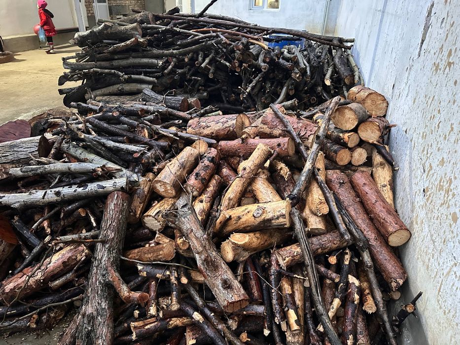 Ўтин сотилади Тошкент вилояти Янгийўл тумани