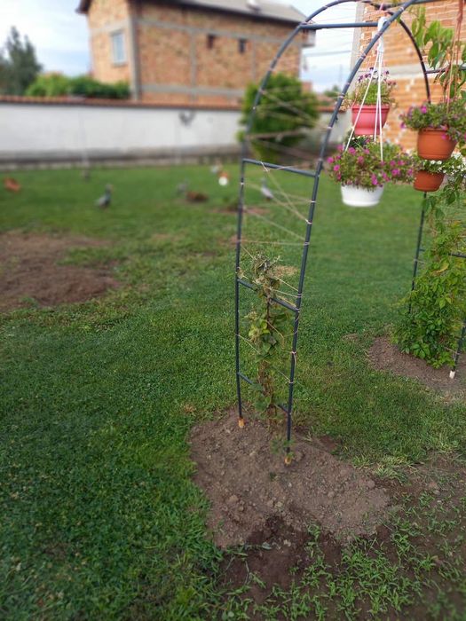 Продава се Къща в с. Боянци, Област Пловдив - 180 кв.м за 468 €/кв.м - Снимка #12