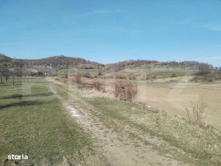 Teren intravilan cu suprafata de 9ha, Aninoasa