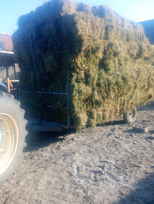 Baloți lucerna coasa  a patra