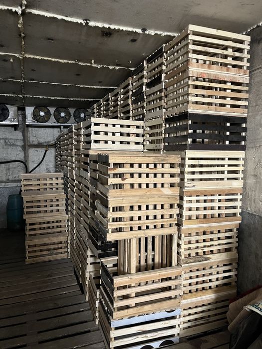 Ящики на яблоку стандар