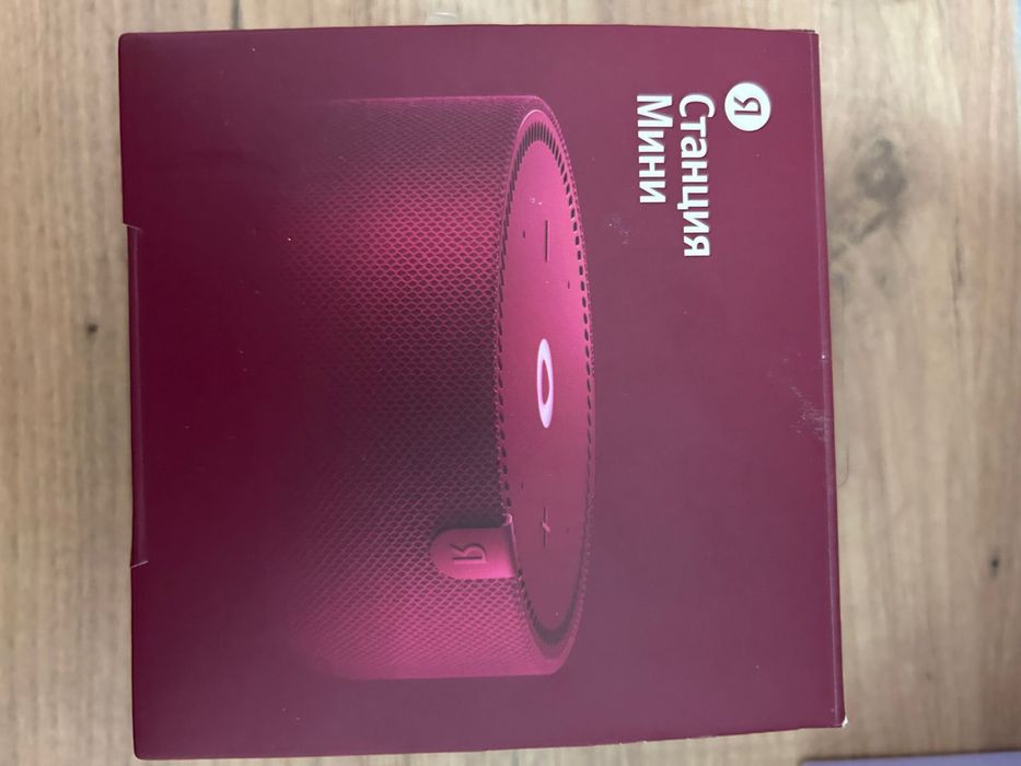 Станция мини Алиса