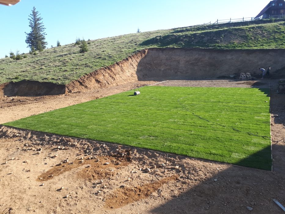 Gazon tip rulou de vanzare