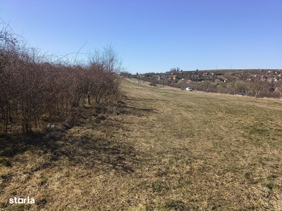 Teren de vânzare Daia Nouă Sibiu - Ideal casă sau cabană