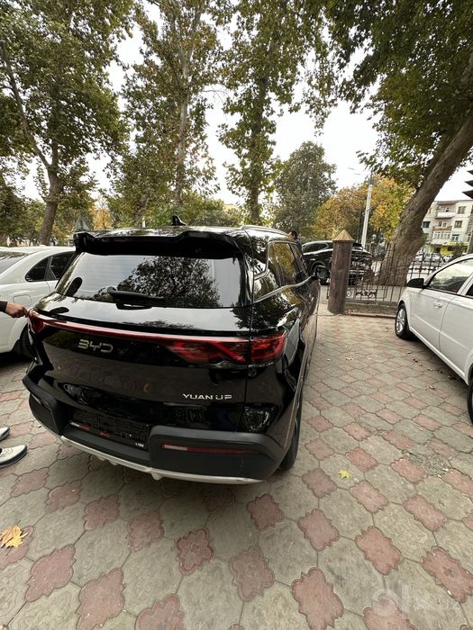 BYD Yuan Up  Tok chisti