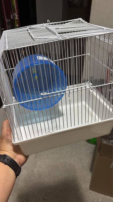 Cusca hamsteri …