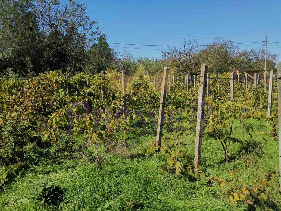 Продава се Къща в с. Соколово, Област Добрич - 105 кв.м за 372 €/кв.м - Снимка #9