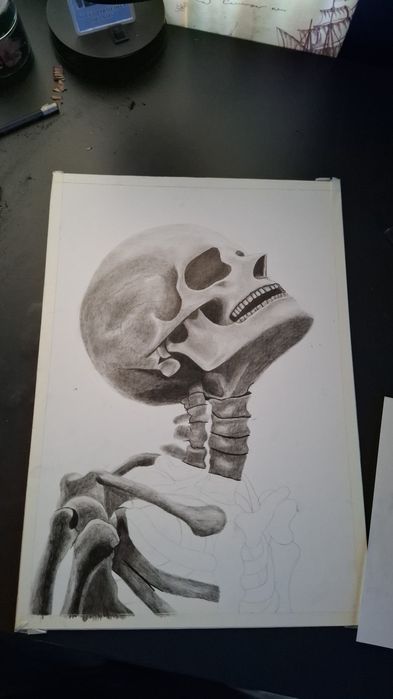 Tablou / Desen manual A3 – Anatomie / Schelet în creion