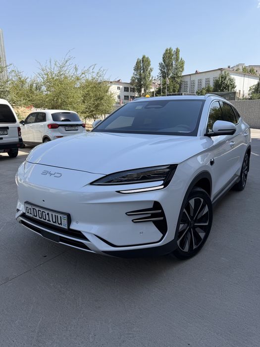 BYD Champion Smart Drive