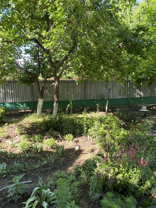 ПРОДАЮТСЯ 2 ДОМА В ОДНОМ ДВОРЕ (на две семьи) в центре Чирчика