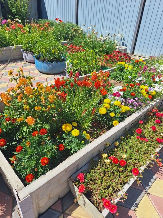 Продаётся двухэтажный дом