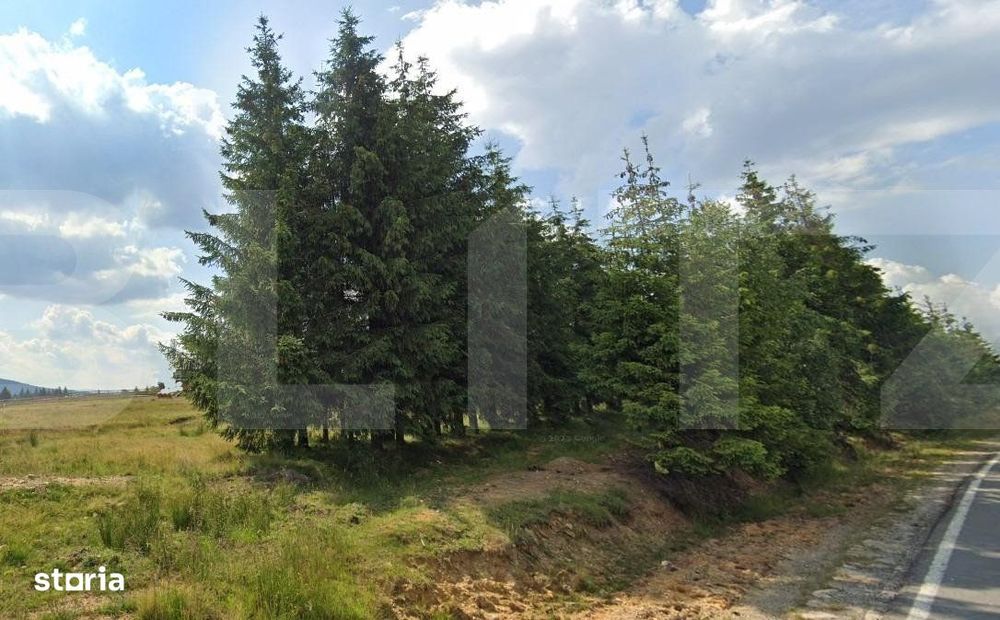 Teren Cabana Belis 1000mp, utilitati