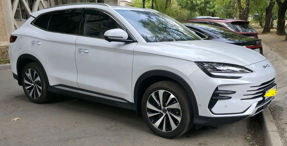 BYD song plus champion