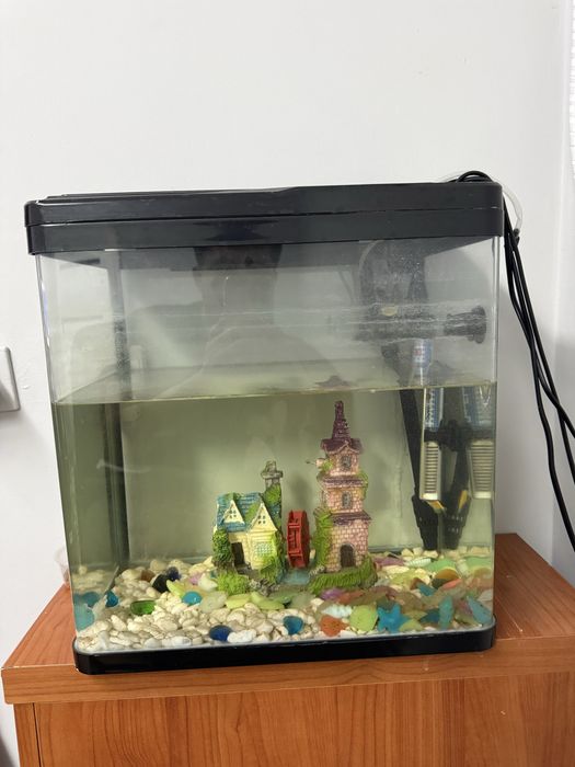 Akvarium sotiladi filtr dekor есть ideal uy va ofes uchun срочно
