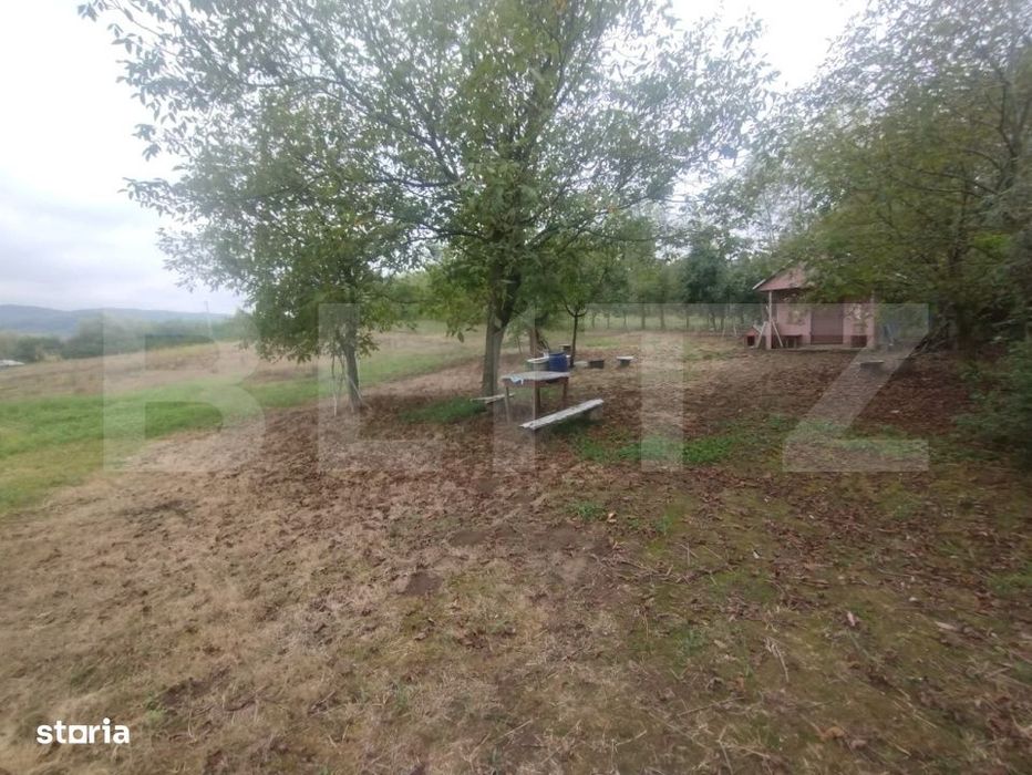 Teren 50 Ari cu Cabana, Utilitati si Livada – Oaza de liniste! Becle