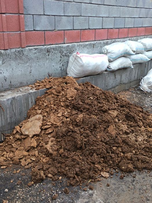 көң бар тегін беремін