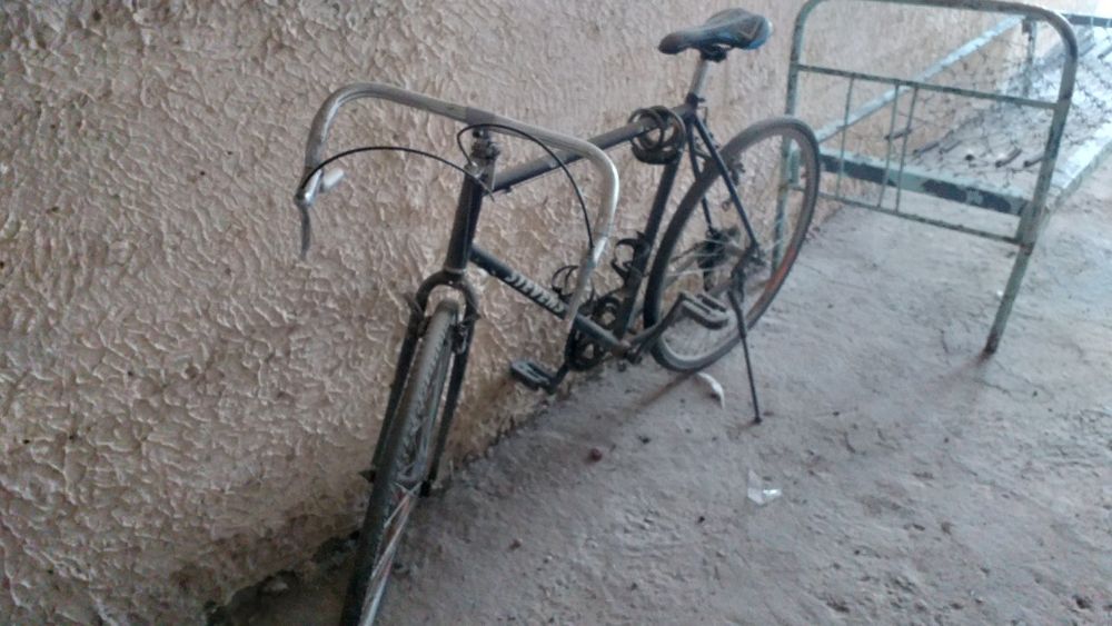 velek stevens sotiladi