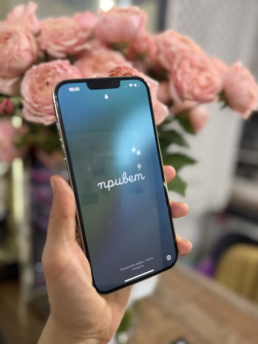 Iphone Aplle 13 PRO Max