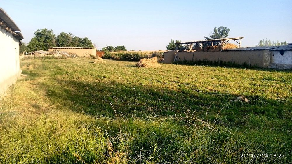 YER  SOTILADI 16-Sotix  YER  ARZON narxda. Kadastr hujjatlari joyida