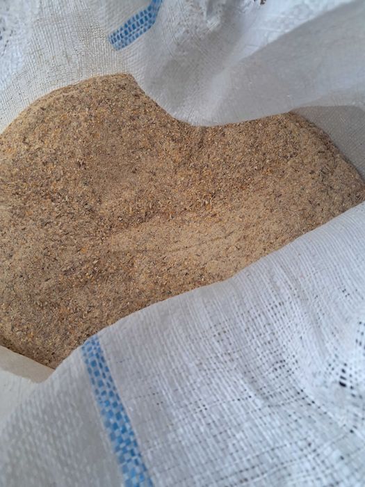 Furaj si porumb de vanzare