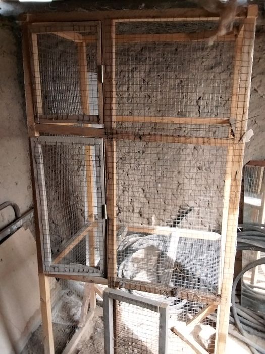 Тауык кора срочна сатылады