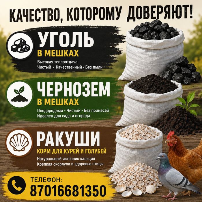 Угол чернозем ракуши