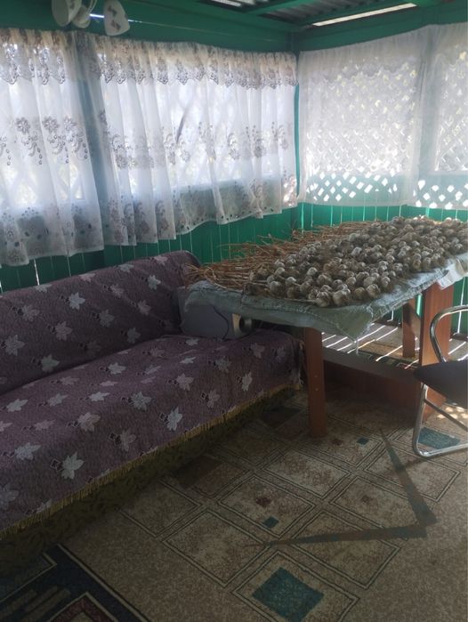 Продам дачу в дачном массаве «Каучук»