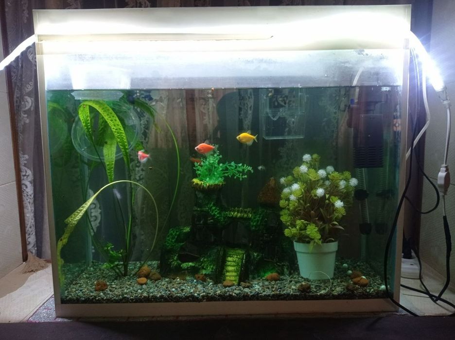 Аквариум 120 л хамма нарсаси ва 13 баликчалари билан
